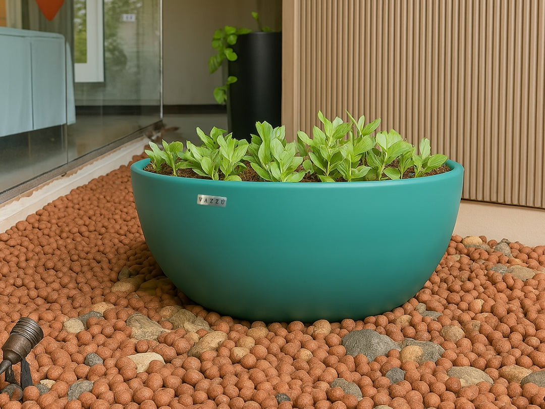 Vaso Bowl - Bacia