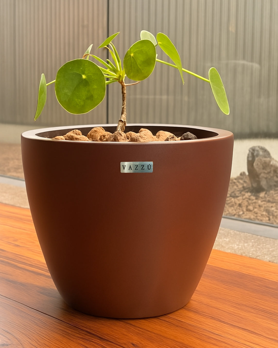 Vaso Alecrim