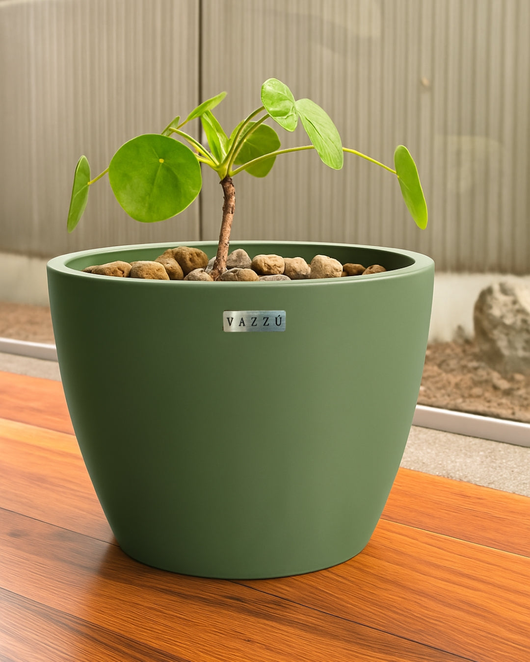 Vaso Alecrim