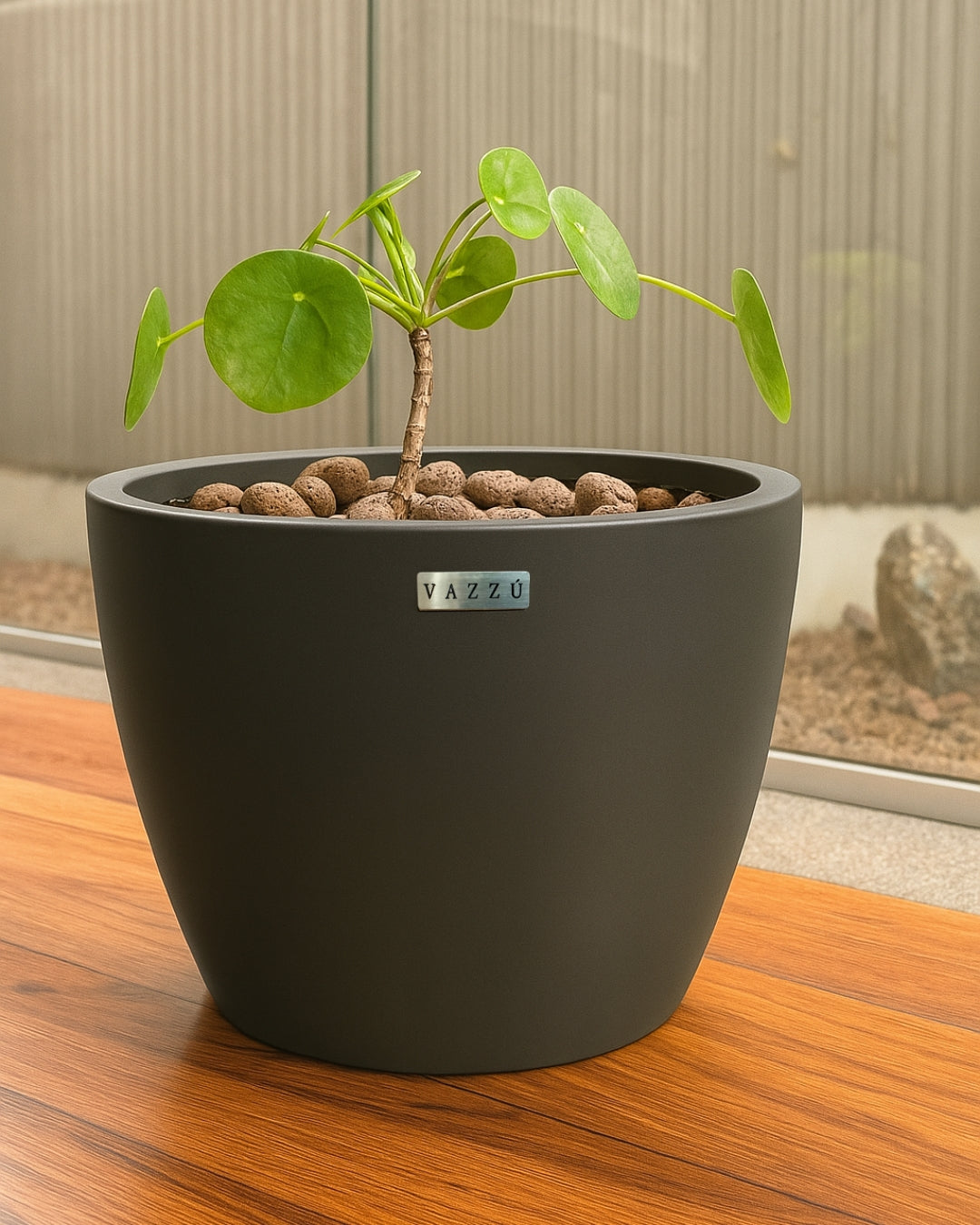 Vaso Alecrim