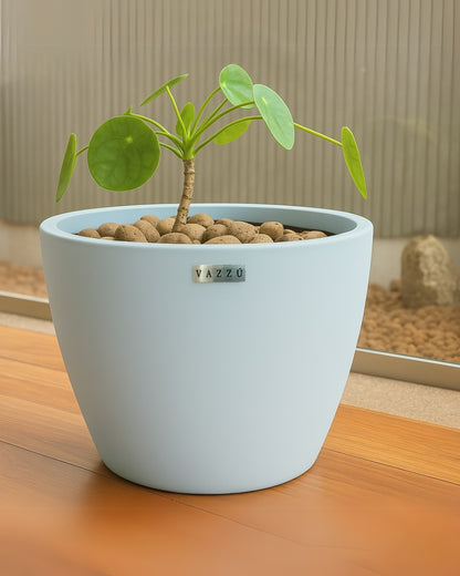 Vaso Alecrim
