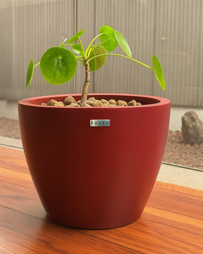 Vaso Alecrim