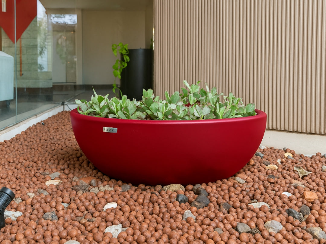 Vaso  Bowl - Bacia