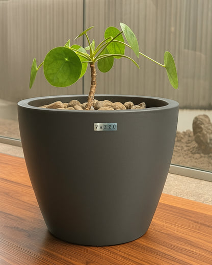 Vaso Alecrim