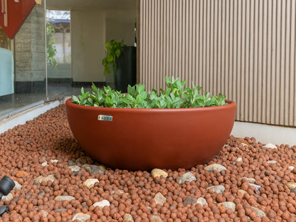 Vaso  Bowl - Bacia
