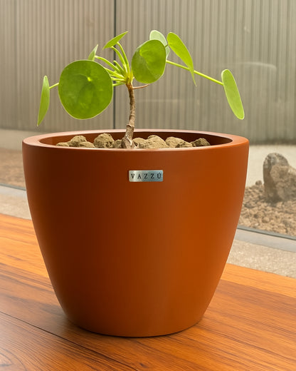Vaso Alecrim