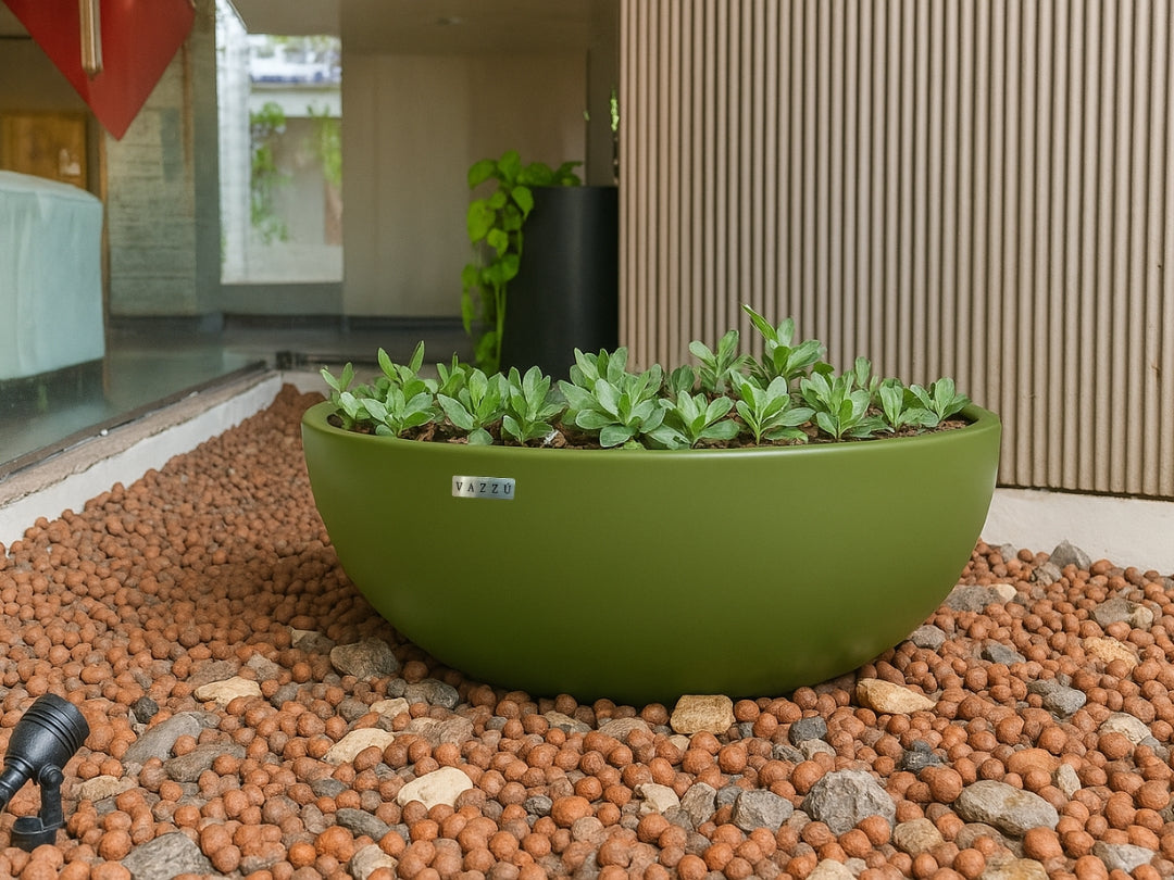 Vaso  Bowl - Bacia