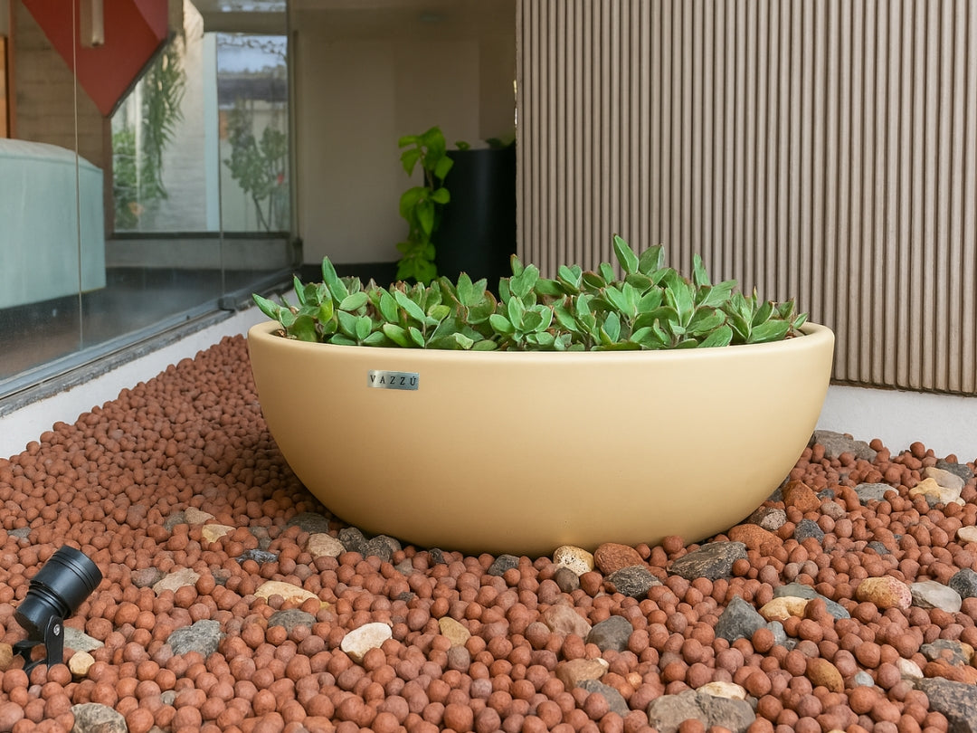 Vaso  Bowl - Bacia