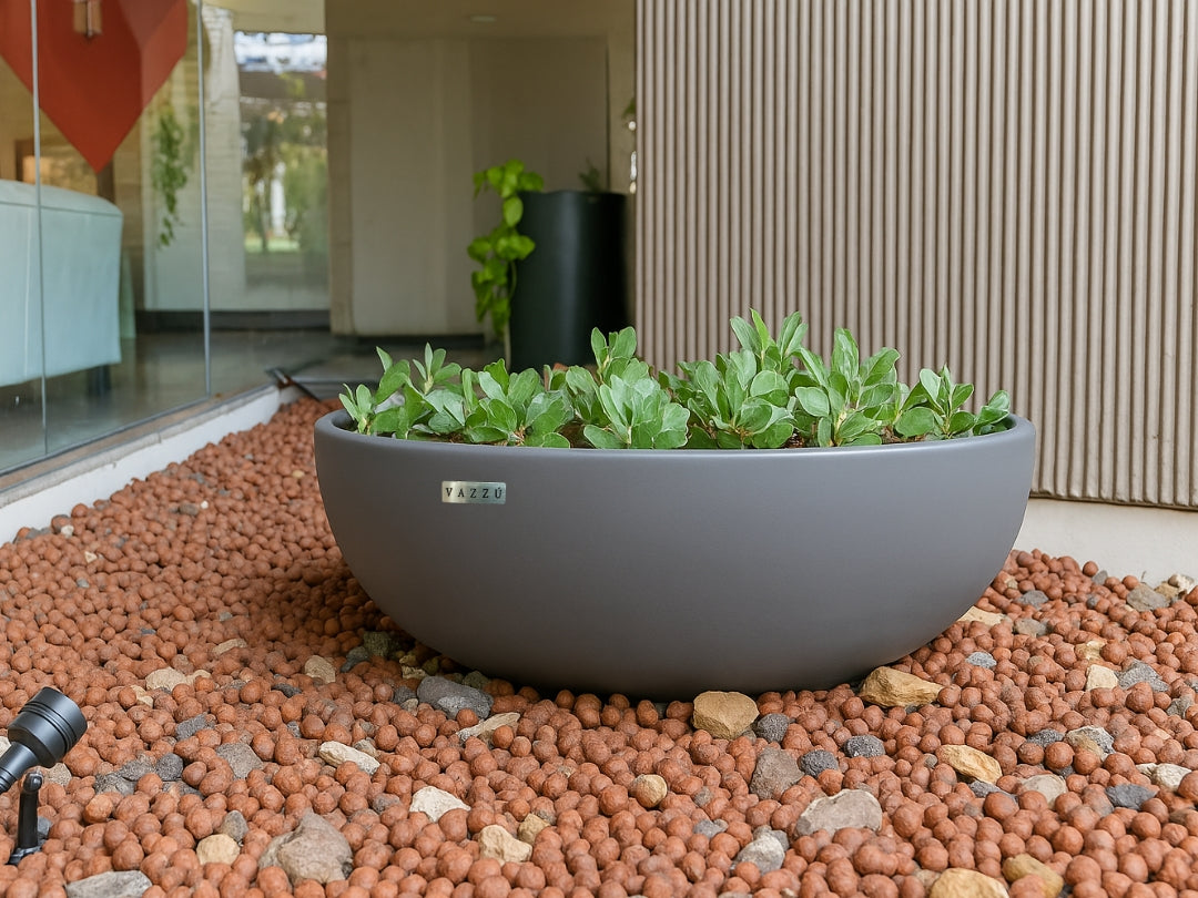 Vaso  Bowl - Bacia