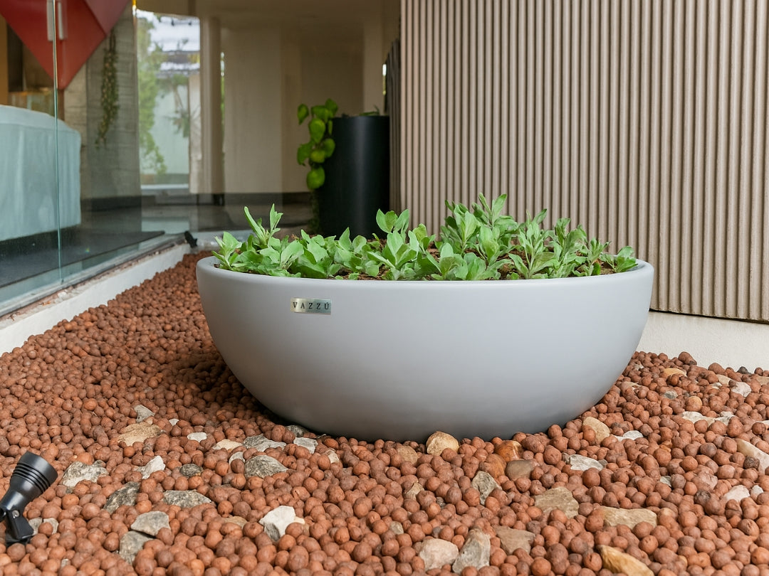 Vaso  Bowl - Bacia