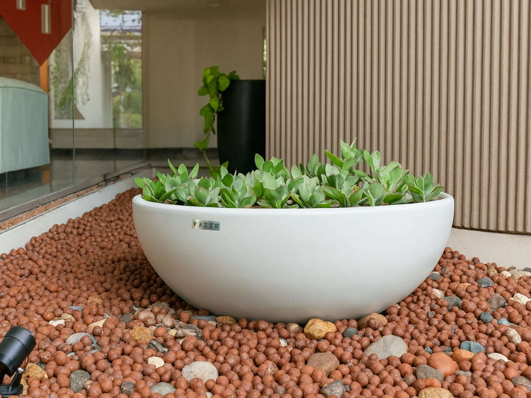 Vaso  Bowl - Bacia