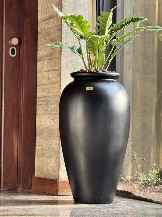 Vaso Jatobá