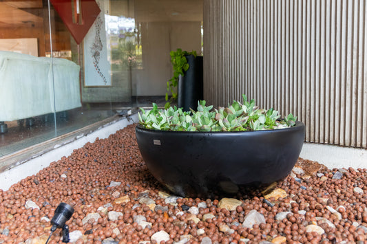 Vaso  Bowl - Bacia
